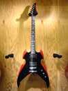 Silver tone AP2.jpg